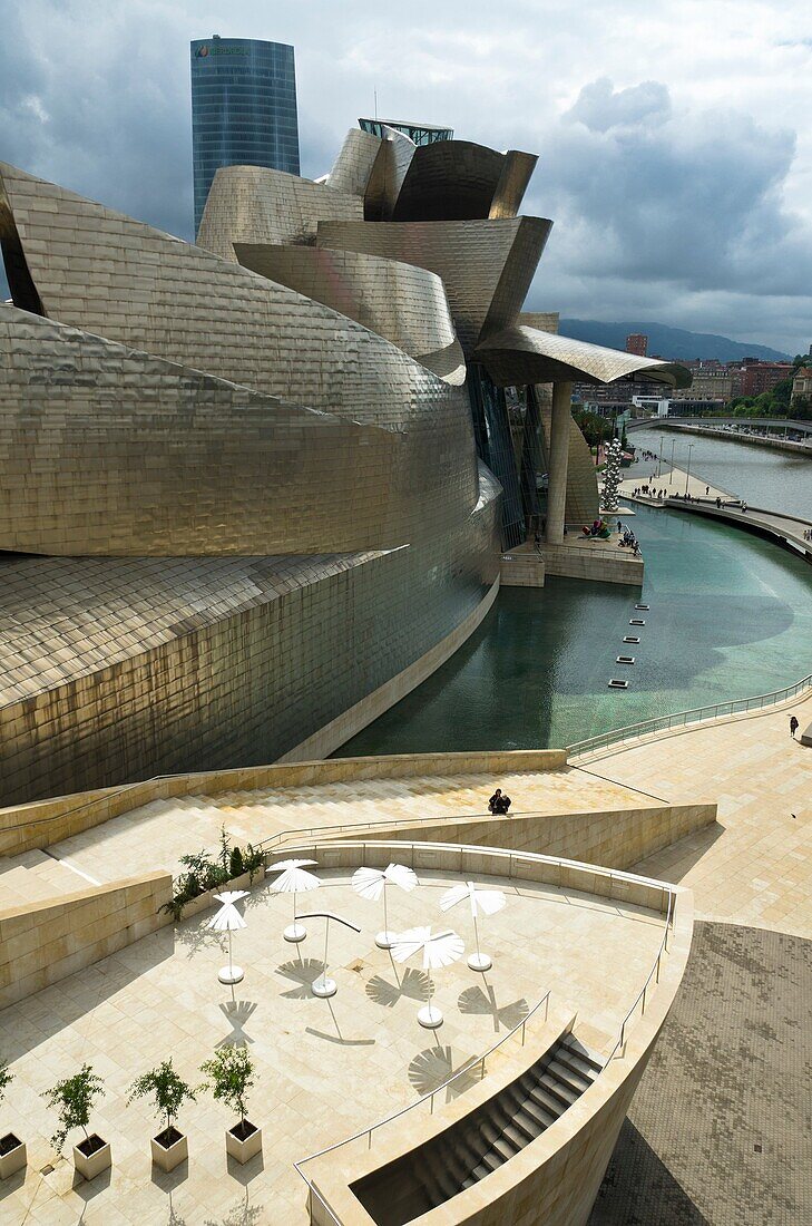 Guggenheim Bilbao Cityscape  Basque country, Spain