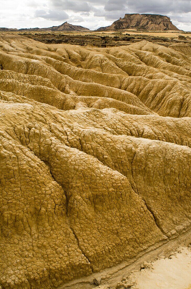 Geological formations and landscape in Bardenas Reales Nature park  Navarre  Spain