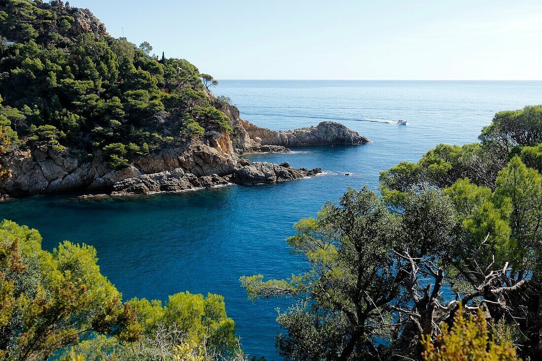 Cala Pola, Tossa de Mar, Costa Brava, Catalonia, Spain, Europe