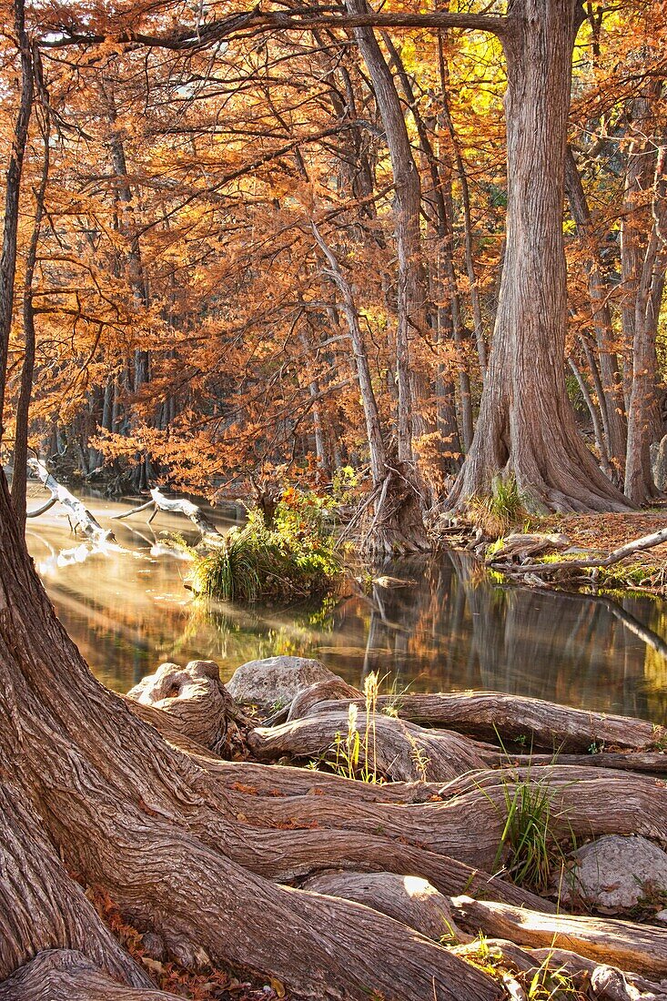 Frio River in Fall