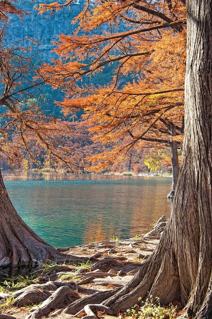 River Fall Foliage