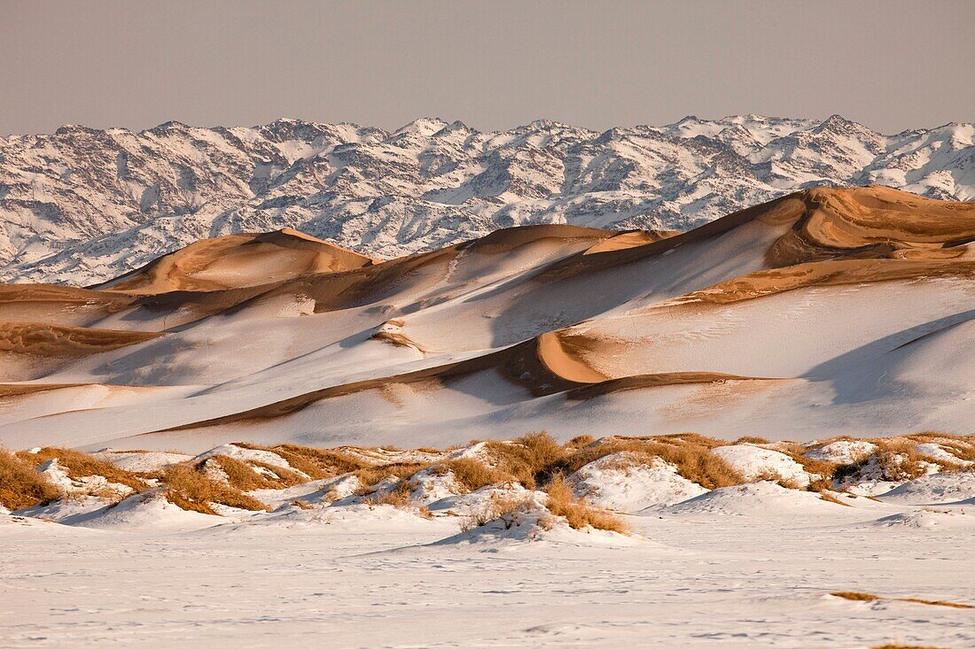 Khongur sand dunes, Sevrei mountains, Gobi desert, Mongolia