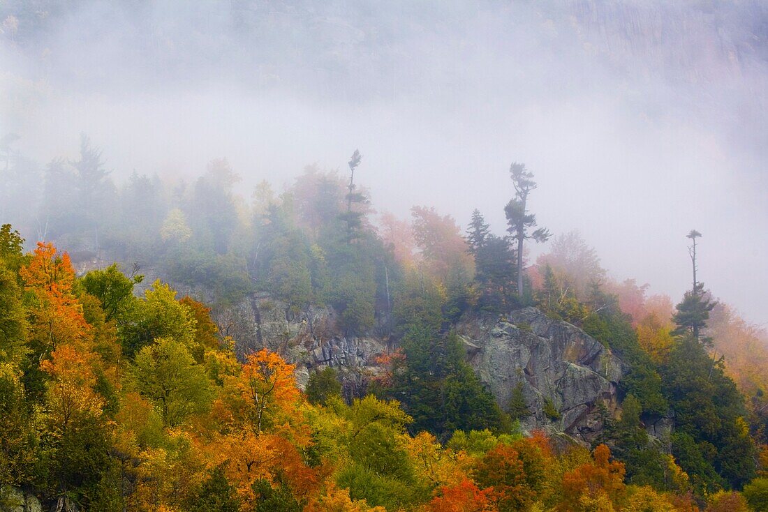 Fog and fall color in trees on mountain side in the Adirondack Mountains of New York