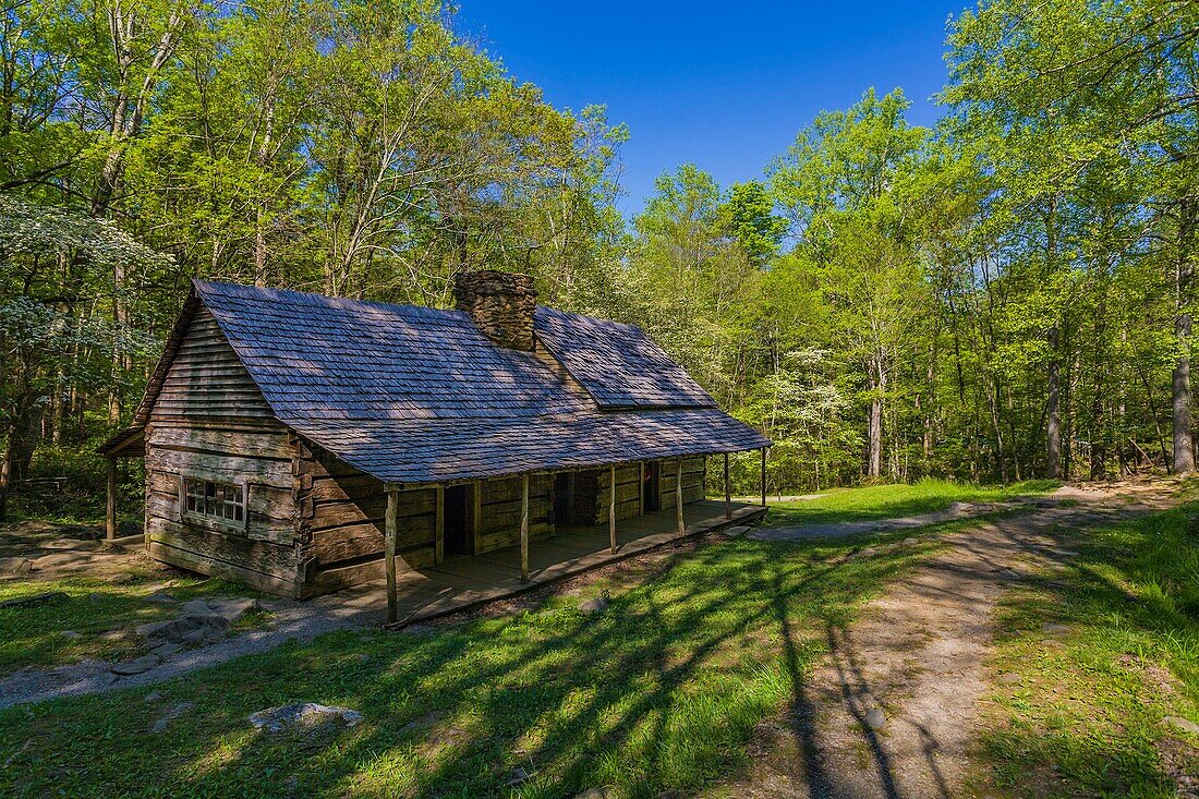 Noah “Bud” Ogle homestead and farm on the Roaring Fork Motor Nature Trail in the Great Smoky Mountains National Park in Tennessee