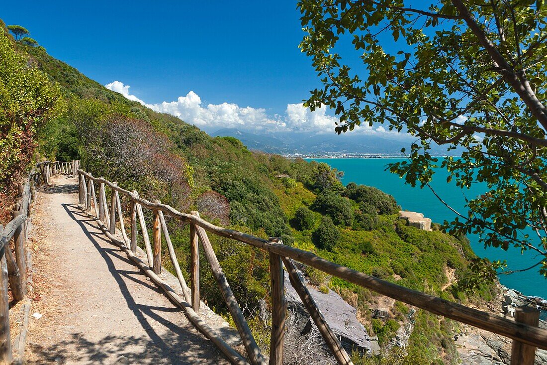 Parco Naturale Regionale di Montemarcello-Magra, Monte Marcello, Liguria, Italy, Europe