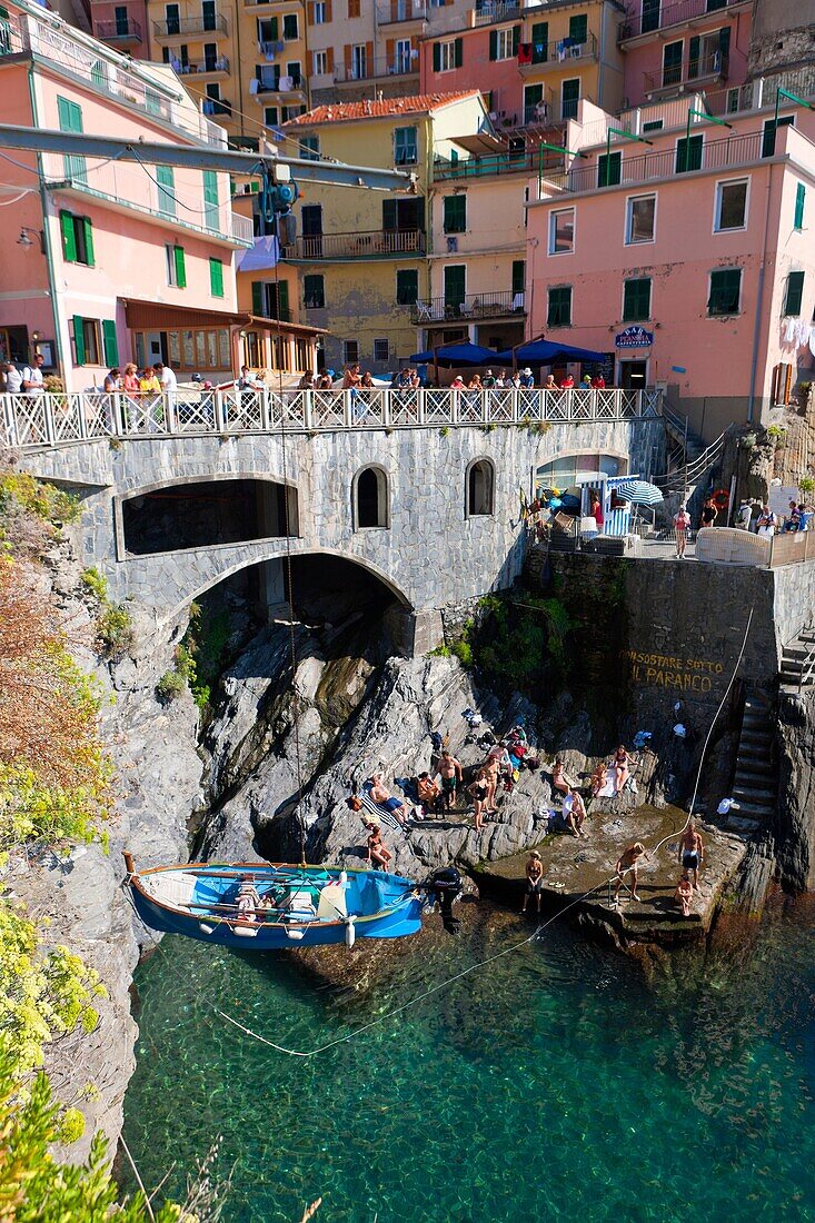 Manarola, Cinque Terre National Park, Province of La Spezia, Liguria, Italy, Europe