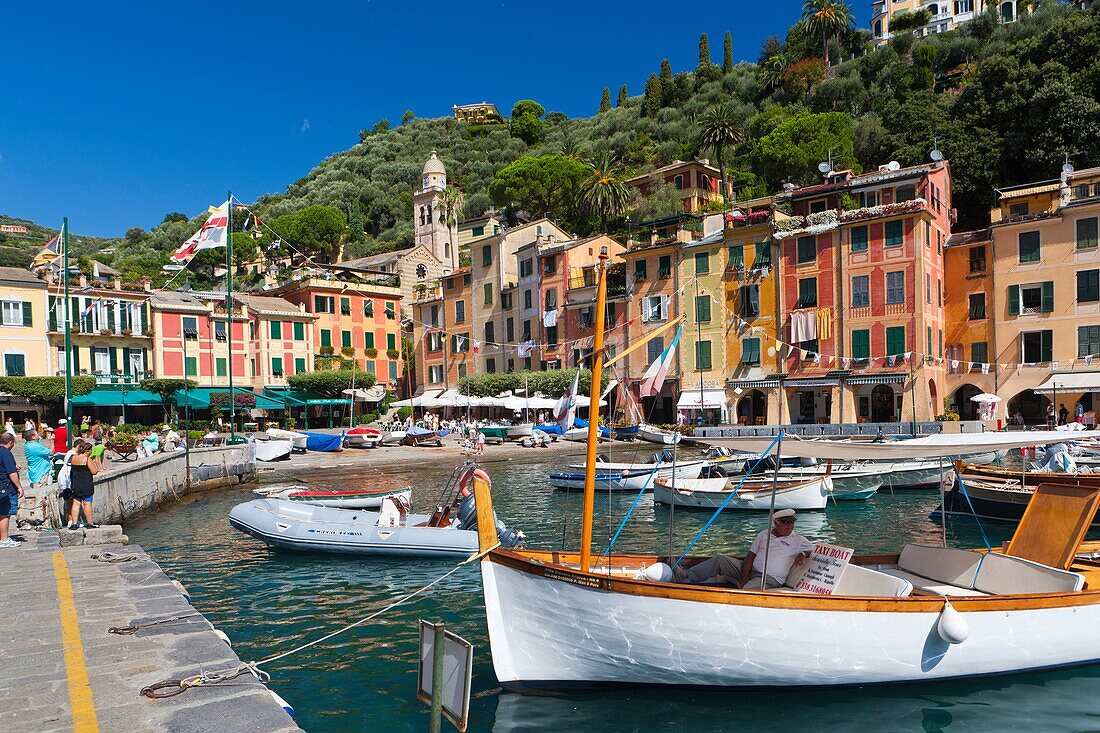 Portofino Harbour, Province of Genoa, Liguria, Italy, Europe