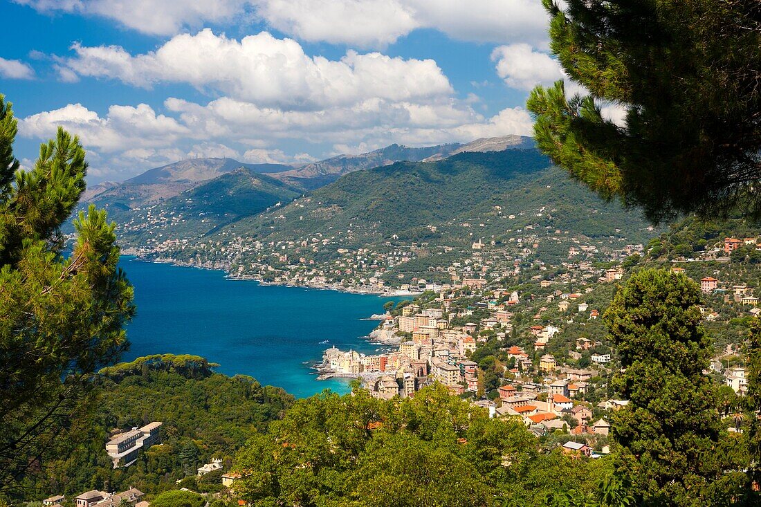 High angle view of a Camogli, Riviera di Levante, Province of Genoa, Liguria, Italy, Europe