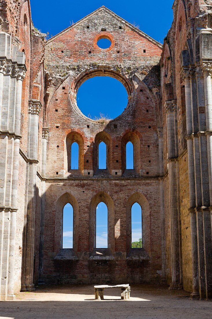 Ruins of the Cistercians abbey San Galgano, Chiusdino, Tuscany, Italy, Europe