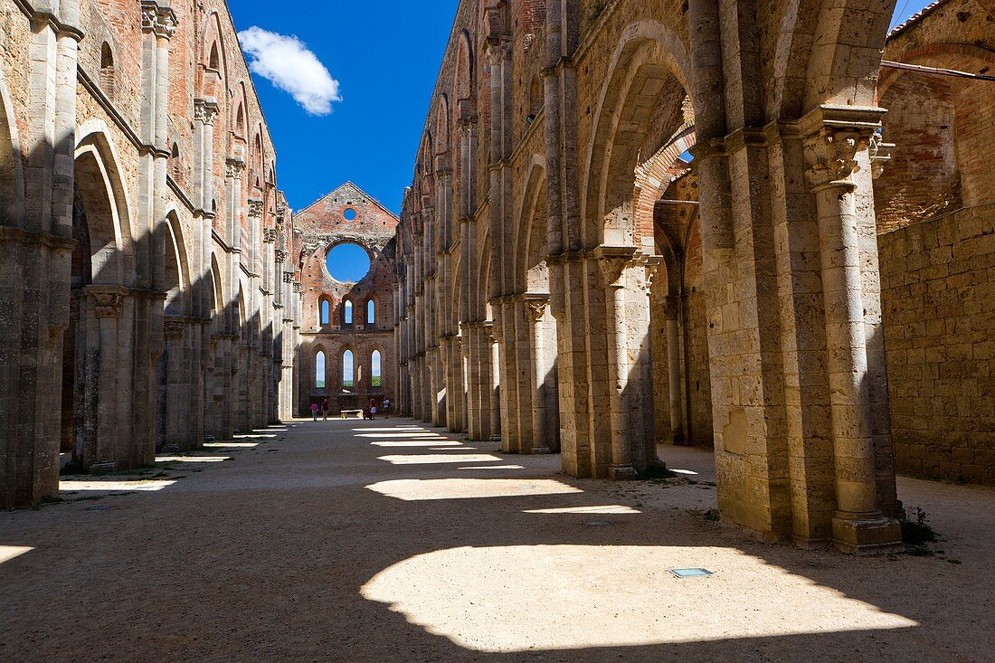 Ruins of the Cistercians abbey San Galgano, Chiusdino, Tuscany, Italy, Europe