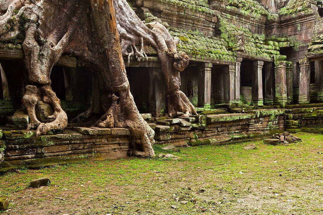 Preah KhanPrah Khan, Sacred Sword, is a temple at Angkor, Cambodia, built in the 12th century for King Jayavarman VII, It is located northeast of Angkor Thom, Angkor, UNESCO World Heritage Site, Cambodia, Indochina, Southeast Asia, Asia