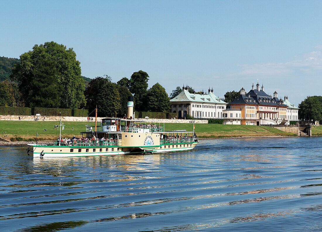 Paddle steamer on the Elbe river in front of Pillnitz castle, Pillnitz, Dresden, Saxony, Germany, Europe