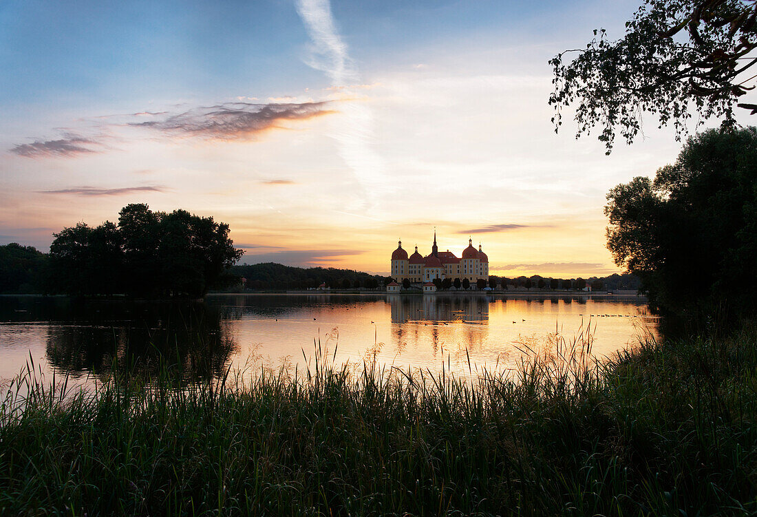 Schlossteich am Morgen, Schloss Moritzburg, Moritzburg, Sachsen, Deutschland, Europa