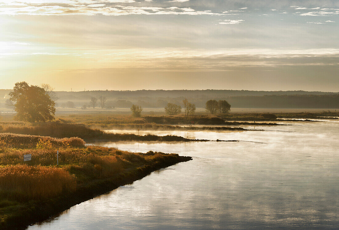 Oder river at sunrise, Land Brandenburg, Germany, Europe