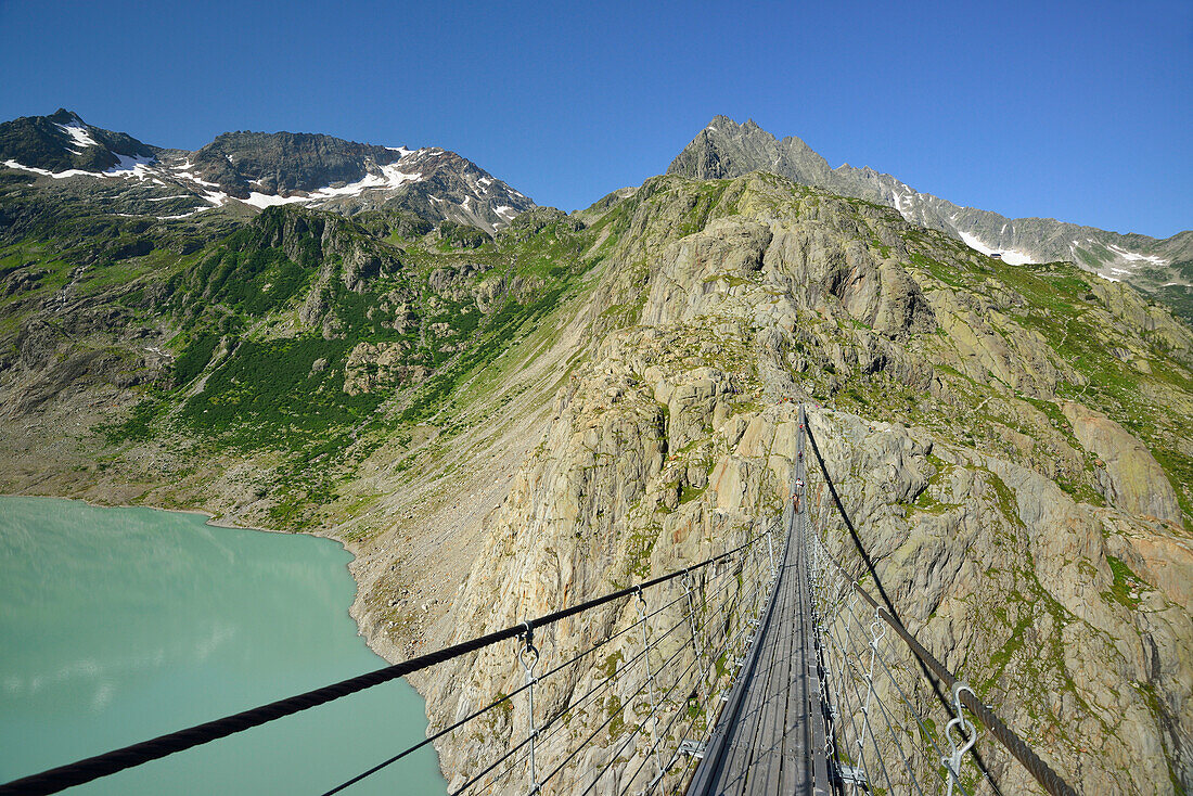 Hängebrücke führt über Gebirgssee, Triftbrücke, Triftgletscher, Tieralplistock, Urner Alpen, Berner Oberland, Bern, Schweiz