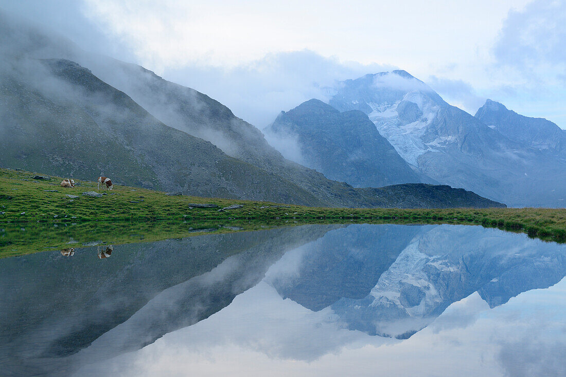 Hochgall spiegelt sich in Bergsee, Rieserfernergruppe, Südtirol, Italien