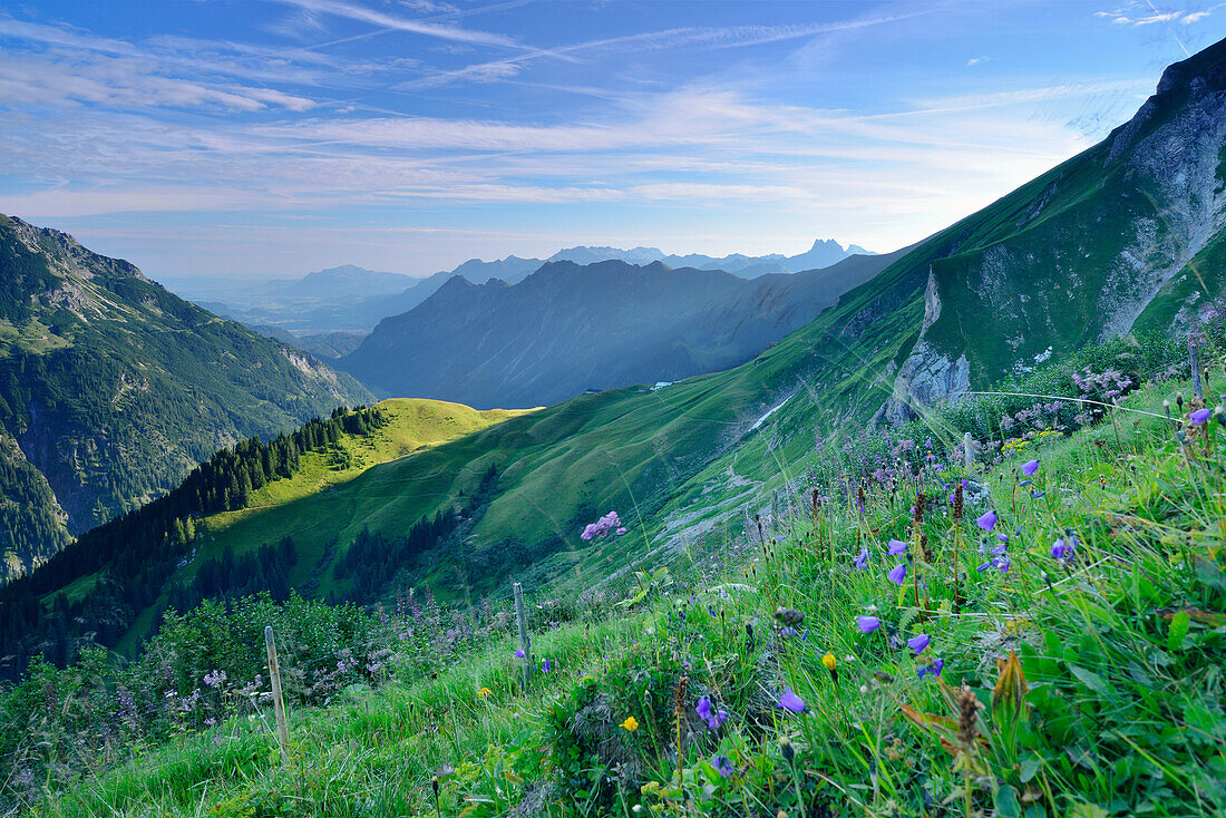 Alpine meadow with view to Stillachtal valley, ascent to Rappensee alpine hut, Allgaeu range, Upper Allgaeu, Allgaeu, Swabia, Bavaria, Germany