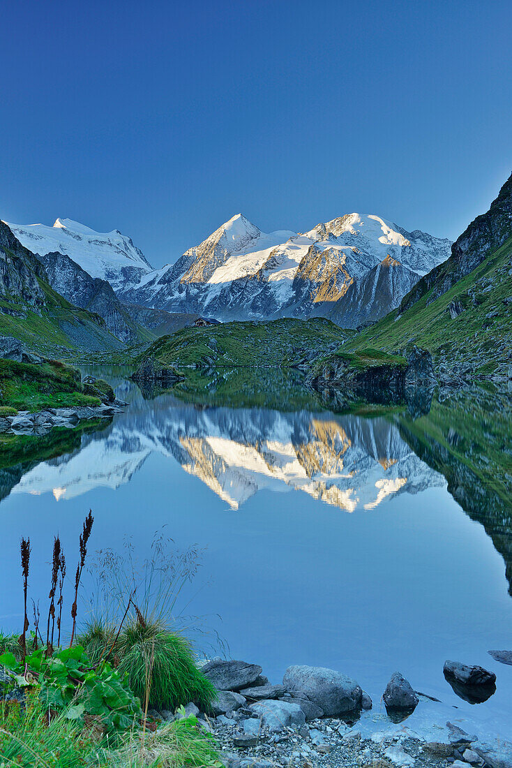 Grand Combin, Combin de Corbassiere und Petit Combin spiegeln sich in Bergsee, Walliser Alpen, Wallis, Schweiz
