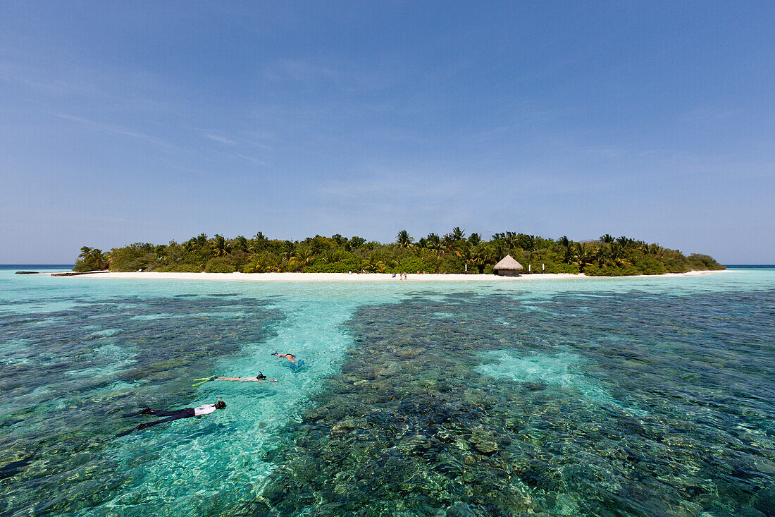 Schnorcheln am Hausriff von Eriyadu, Nord Male Atoll, Malediven