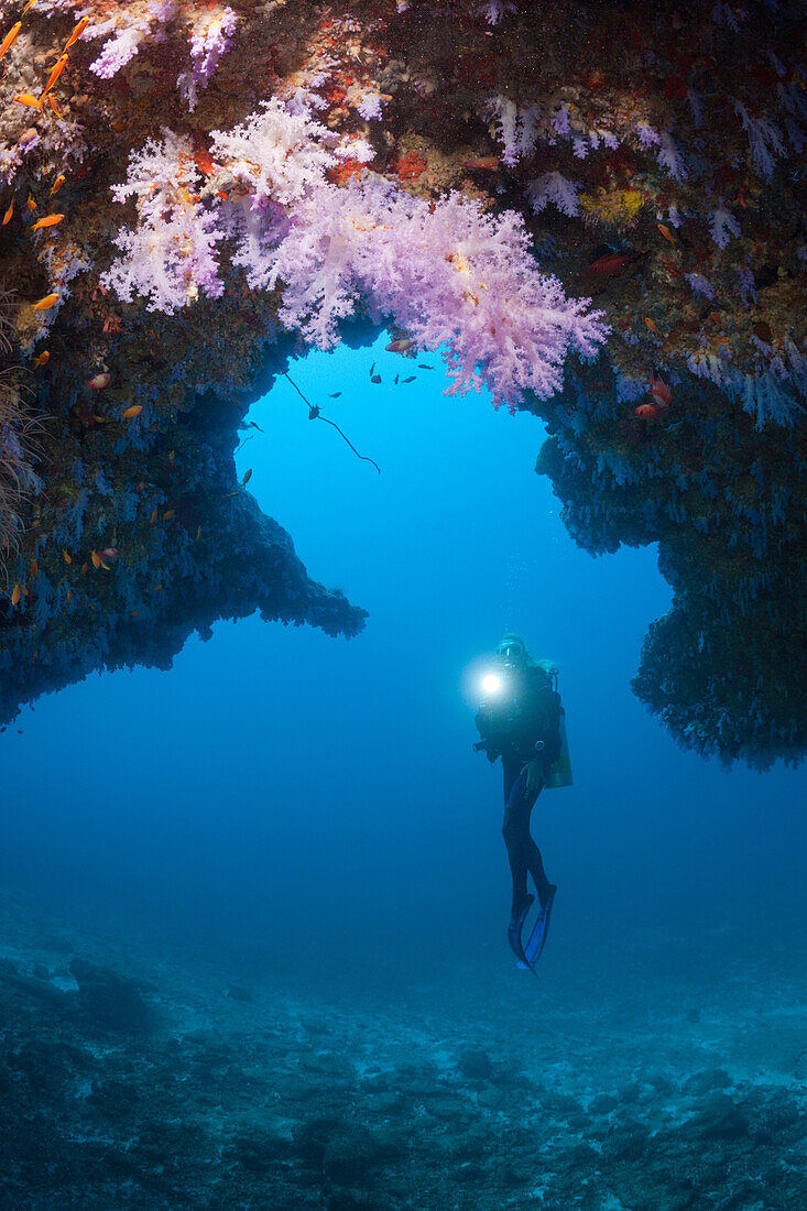 Scuba Diver explores Cave, North Male Atoll, Maldives