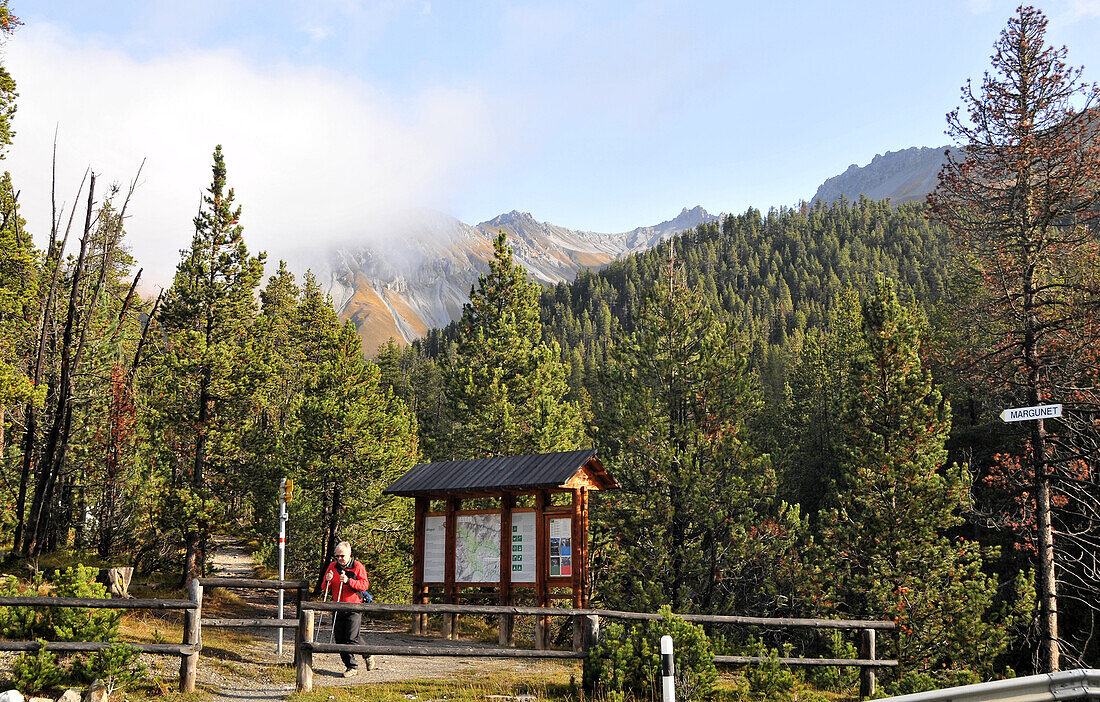 Wanderweg im Schweizer Nationalpark am Ofenpass, Zernez, Unterengadin, Graubünden, Schweiz, Europa