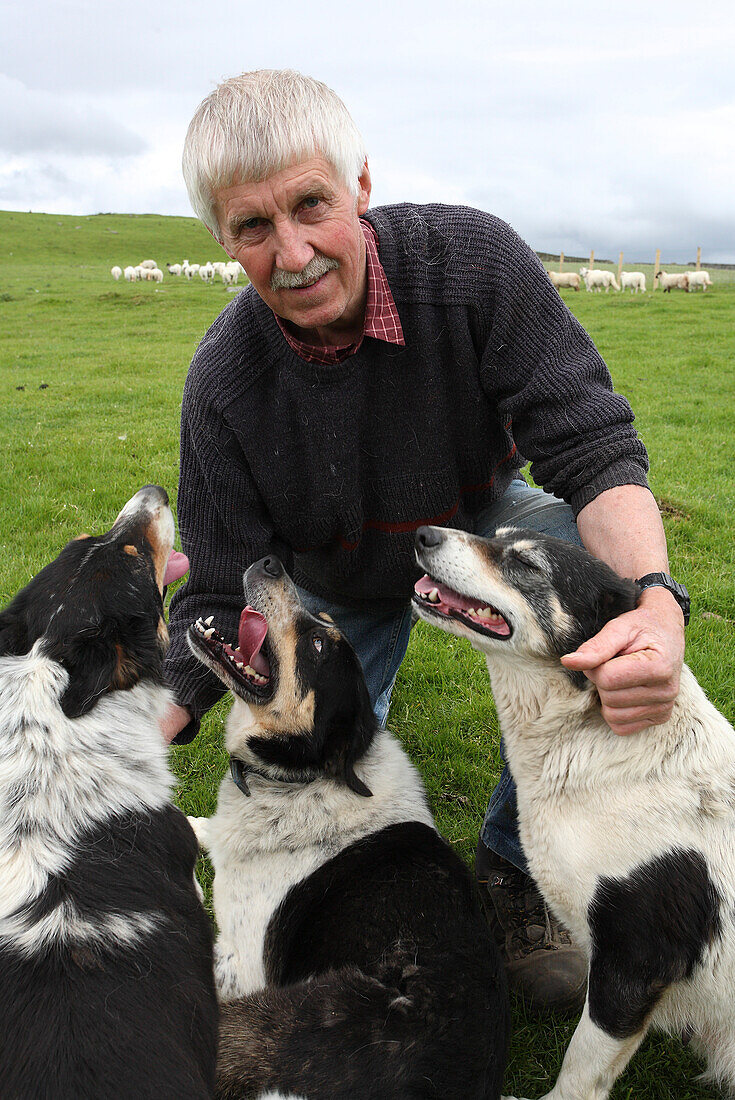 Caerwyn Roberts, Schafzüchter aus der Nähe von Harlech mit Hütehunden, Merthyr Farm, Nord Wales, Großbritannien, Europa