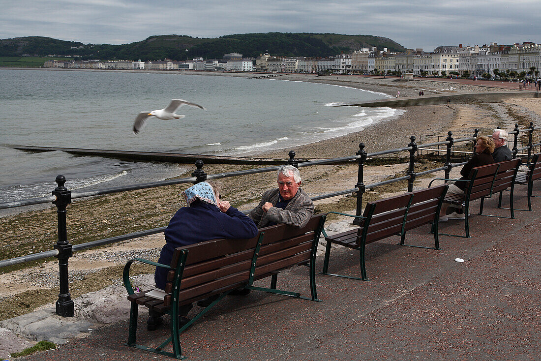 Bänke auf der Promenade von Seebad Llandudno, Nord Wales, Großbritannien, Europa