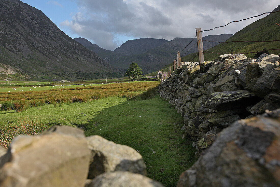 Das Tal des Nant Ffrancon, an der A 5 zwischen Capel Curig und Bethesda, Nord Wales, Großbritannien, Europa