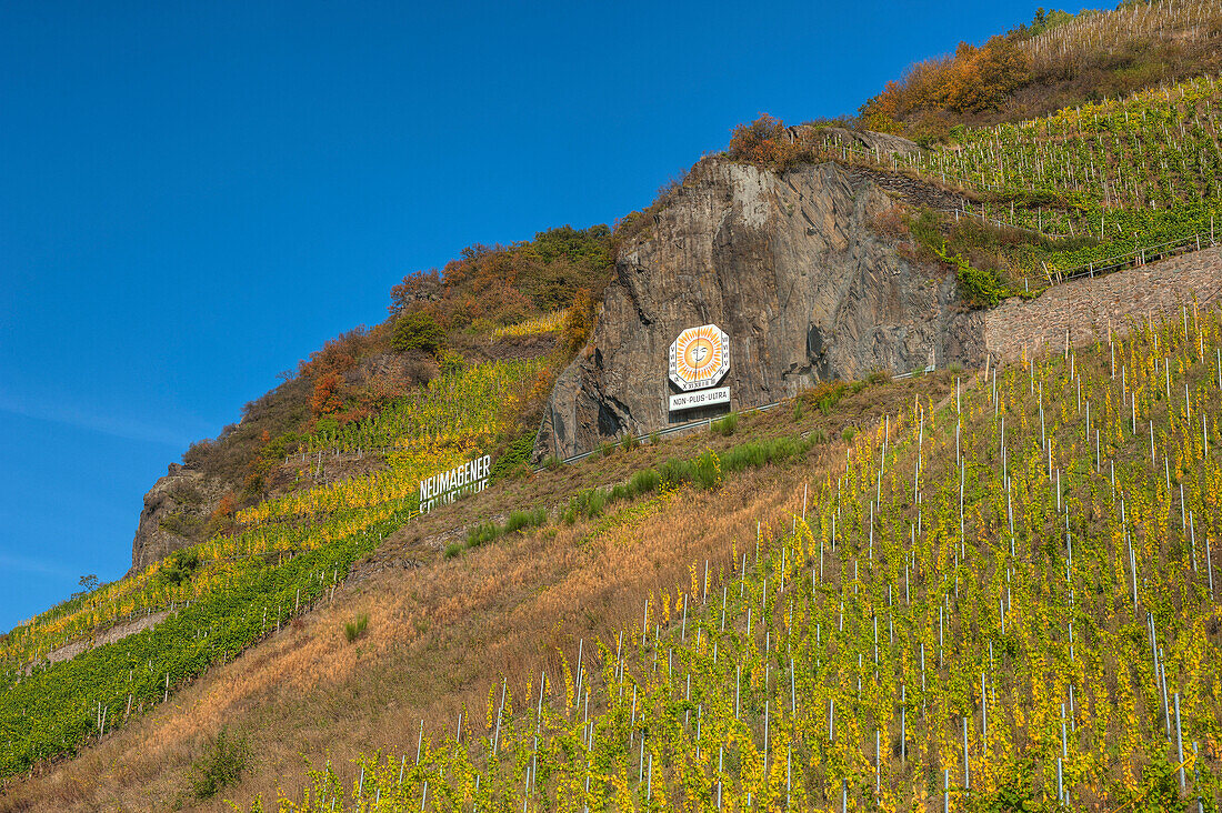 Sonnenuhr im Weinberg bei Neumagen, Mosel, Rheinland-Pfalz, Deutschland