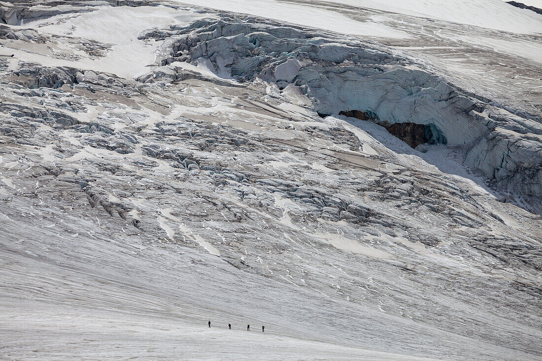 Eine Seilschaft, vier Bergsteiger im Aufstieg vor Gletscherspalten auf dem Kanderfirn, Berner Oberland, Kanton Bern, Schweiz