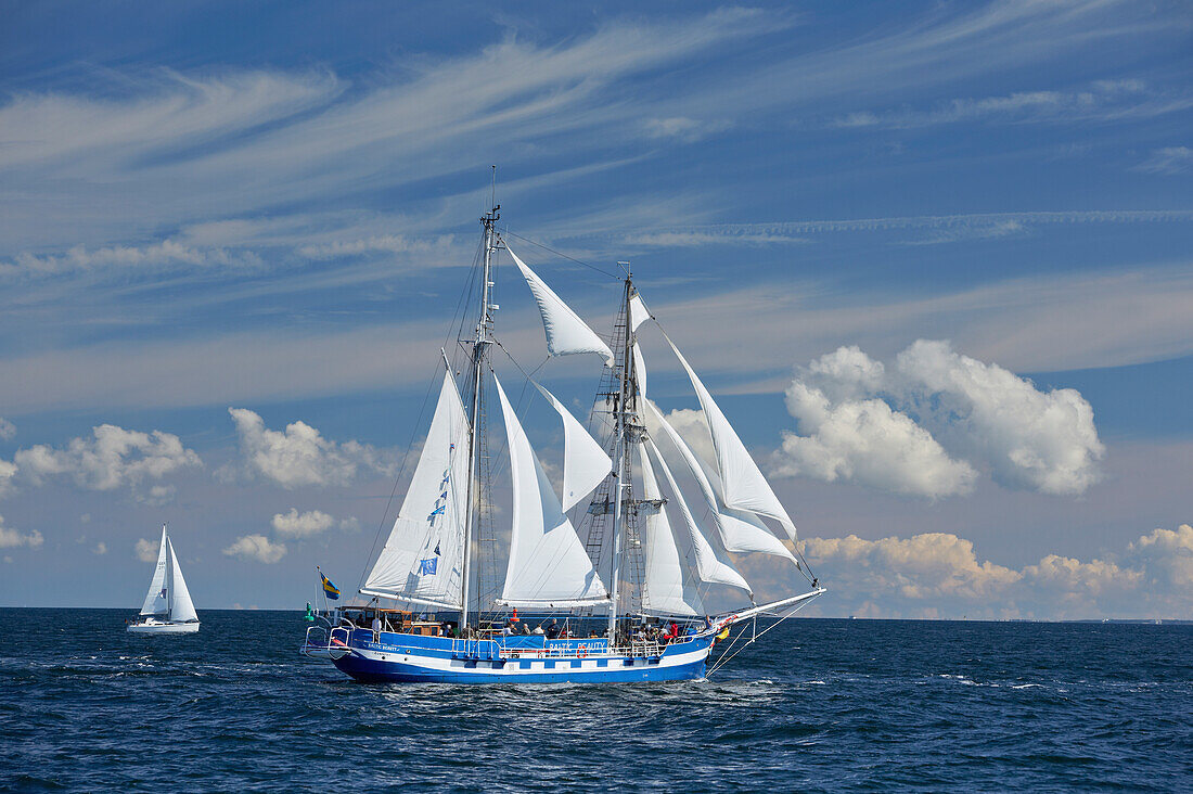 Sailing ships on Baltic Sea on their way to Hanse Sail, Rostock Warnemuende, Mecklenburg Western Pomerania, Germany, Europe