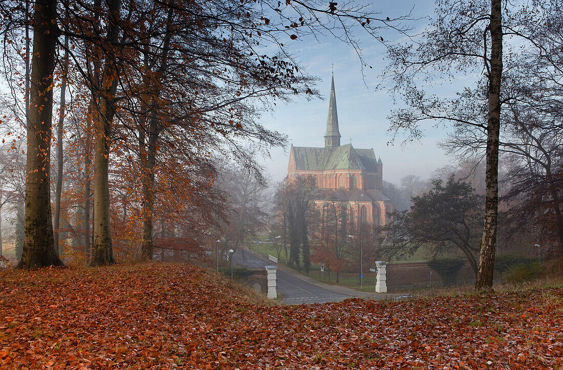 The minster in autumn, Bad Doberan, Mecklenburg Western Pomerania, Germany, Europe