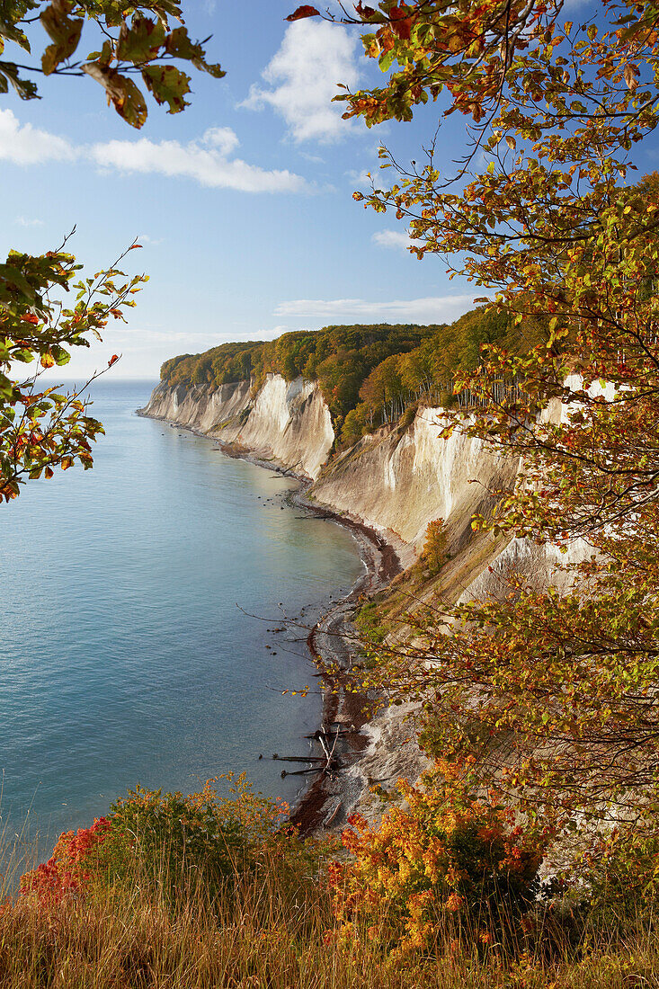 Kreideküste im Herbst, Kieler Ufer, Nationalpark Jasmund, Insel Rügen, Ostseeküste,  Mecklenburg Vorpommern, Deutschland, Europa