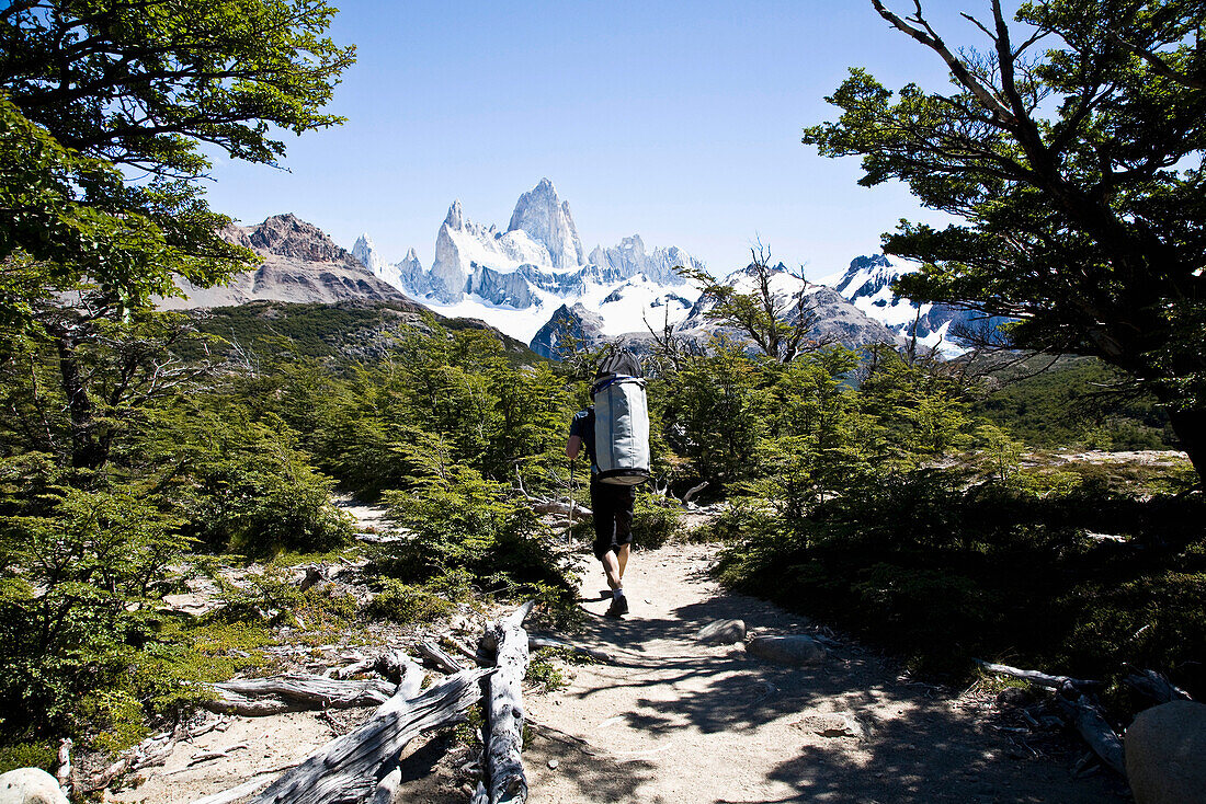 Mann wandert am Fitz Roy Massiv, El Chalten, Patagonien, Argentinien