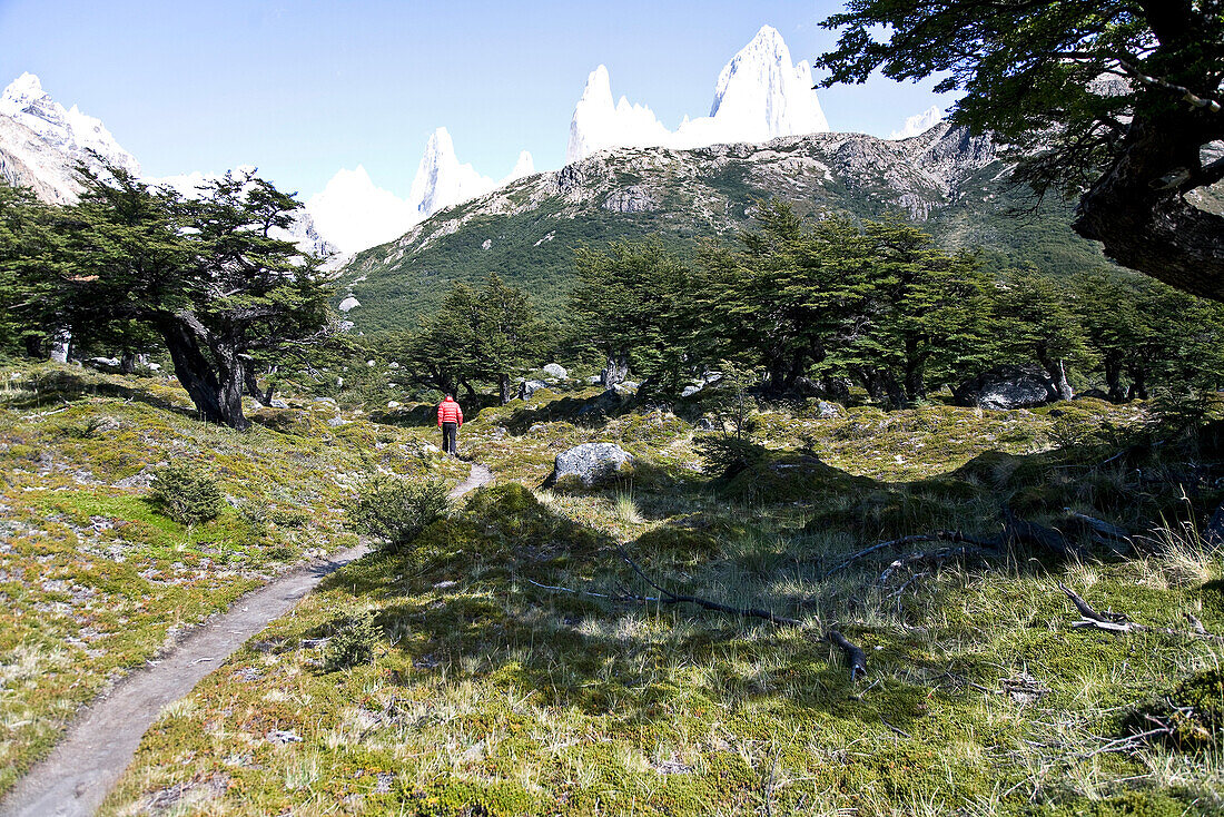 Man hiking at Fitz Roy Massif, El Chalten, Patagonia, Argentina