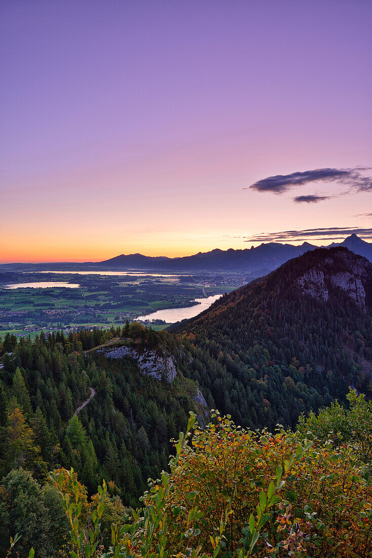 Hopfensee, Forggensee und Weißensee mit Ammergauer Alpen im Hintergrund, Falkenstein, Allgäuer Alpen, Allgäu, Schwaben, Bayern, Deutschland