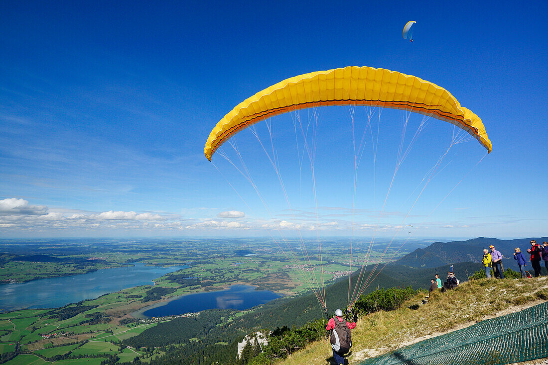 Paraglider starting from Tegelberg, lake Forggensee and lake Bannwaldsee in background, Tegelberg, Ammergau range, Allgaeu, Swabia, Bavaria, Germany