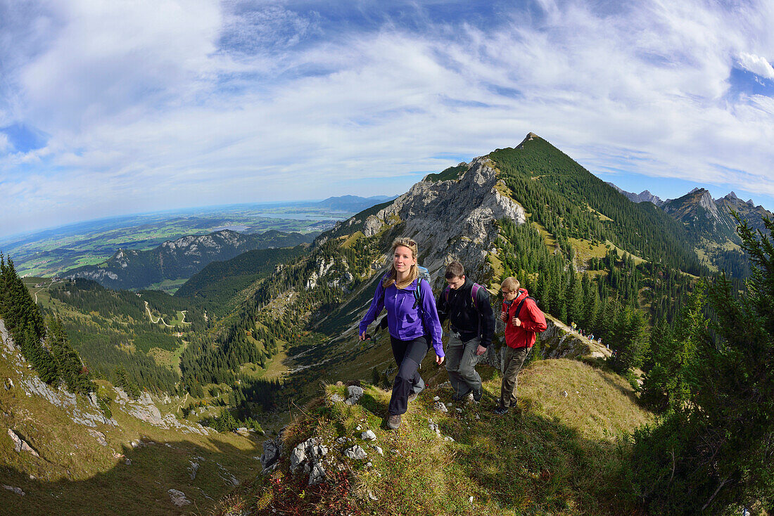 Junge Frau und zwei junge Männer steigen über Grat zum Aggenstein auf, Aggenstein, Tannheimer Berge, Tirol, Österreich