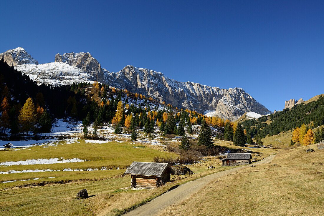 Weg führt durch Durontal mit Rosengarten im Hintergrund, Durontal, Fassatal, Rosengarten, Dolomiten, UNESCO Welterbe Dolomiten, Südtirol, Italien
