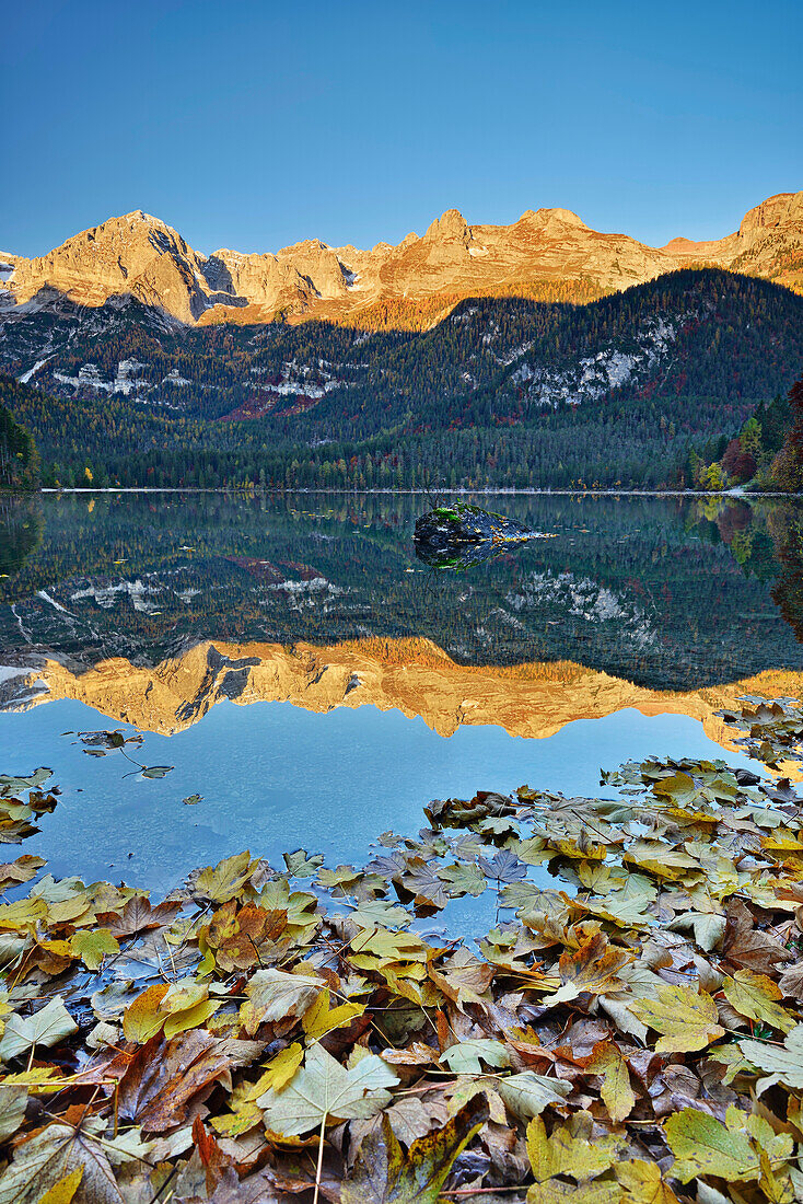 Brentagruppe spiegelt sich in Lago Tovel, Lago Tovel, Brenta, Dolomiten, UNESCO Welterbe Dolomiten, Trentino, Italien