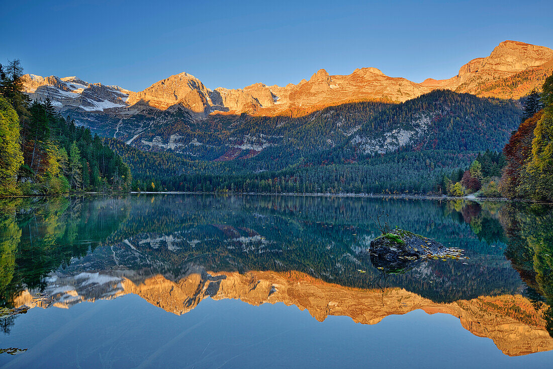 Brenta range reflecting in lake Lago Tovel, Lago Tovel, Brenta range, Dolomites, UNESCO World Heritage Site Dolomites, Trentino, Italy