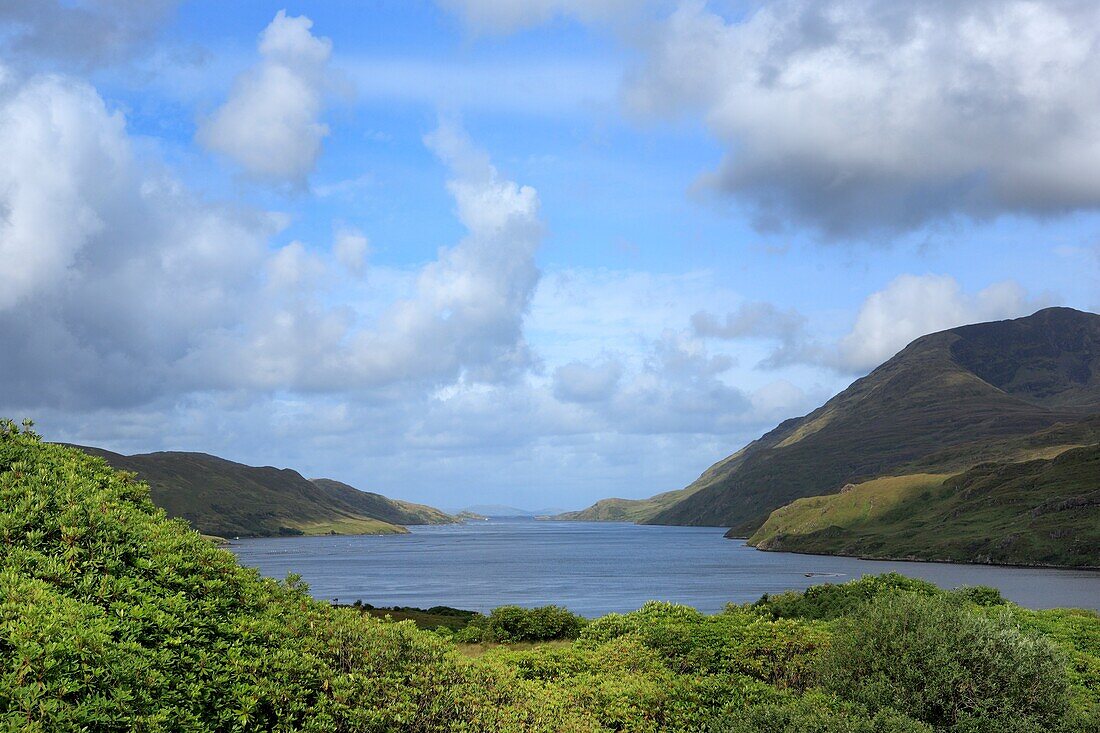 Connemara, Killary harbour, Galway county, Ireland