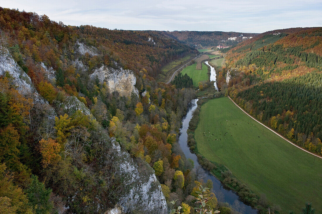 Blick über herbstlichen Wald ins Obere Donautal, Schwäbische Alb, Baden-Württemberg, Deutschland, Europa