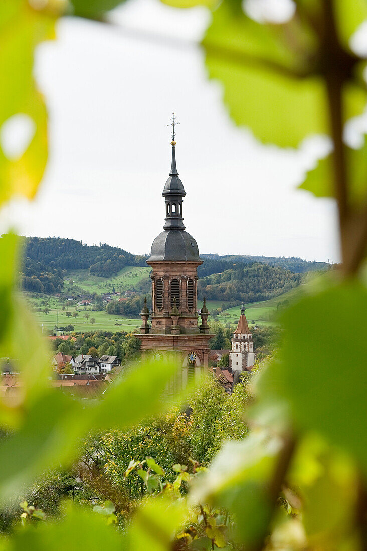 View of the steeple of the Stadtkirche, Gengenbach, Black Forest, Baden-Wuerttemberg, Germany, Europe