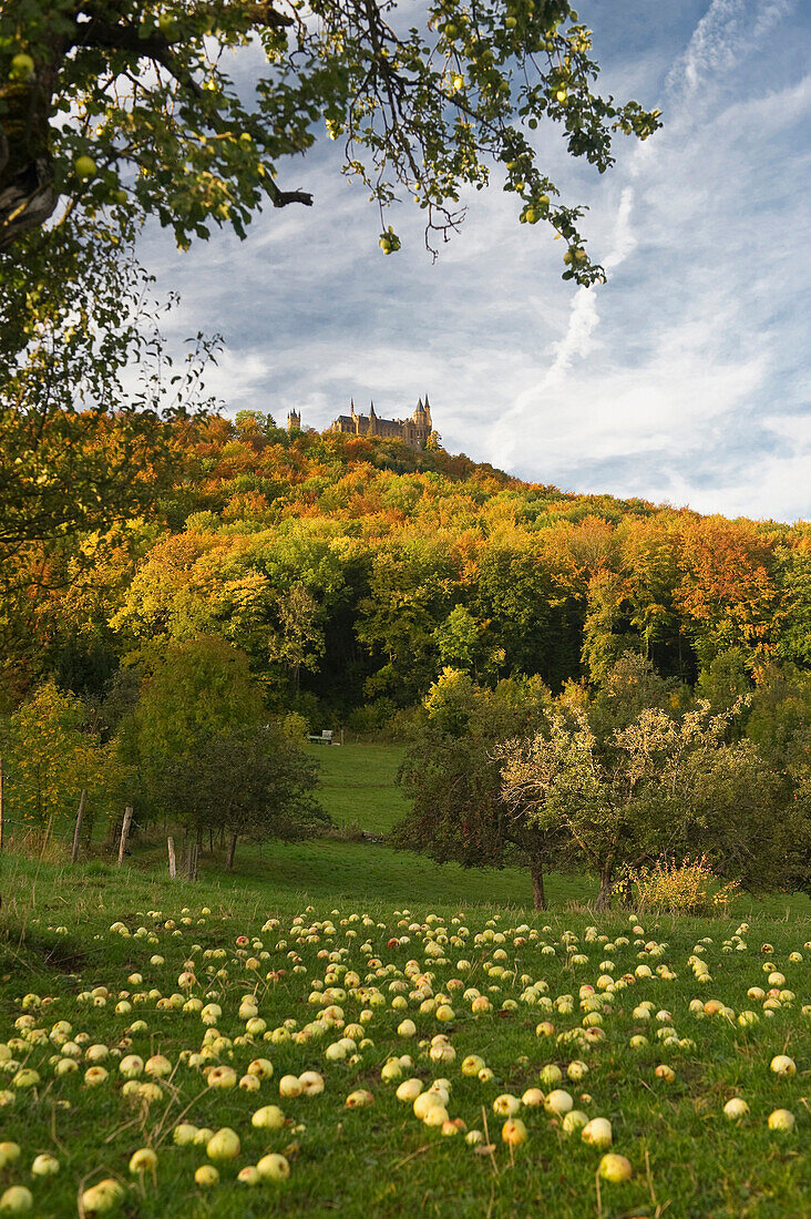 Burg Hohenzollern und Streuobstwiesen, Hechingen, Schwäbische Alb, Baden-Württemberg, Deutschland, Europa