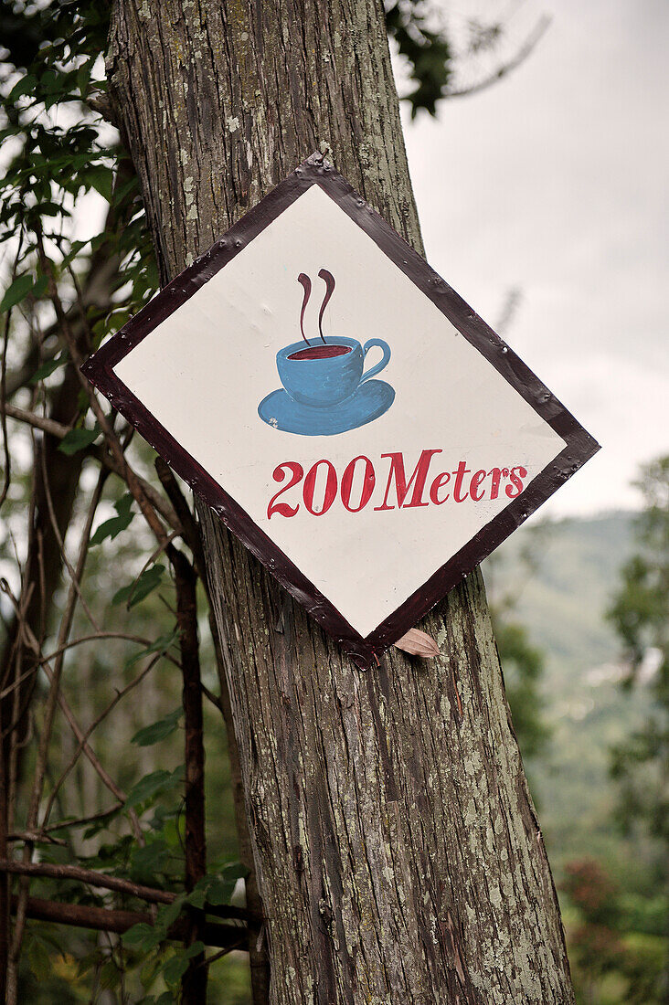 Sign with cup of tea, Hill Country, Ella, Sri Lanka