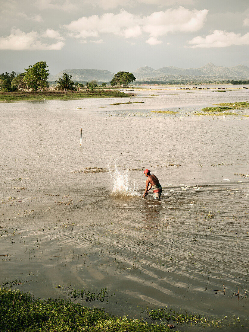 Fischer läuft durch Sumpfgebiet und schlägt mit Stock auf Wasseroberfläche, spezielle art zu fischen, Tissamaharama, Hambantota Distrikt, Sri Lanka