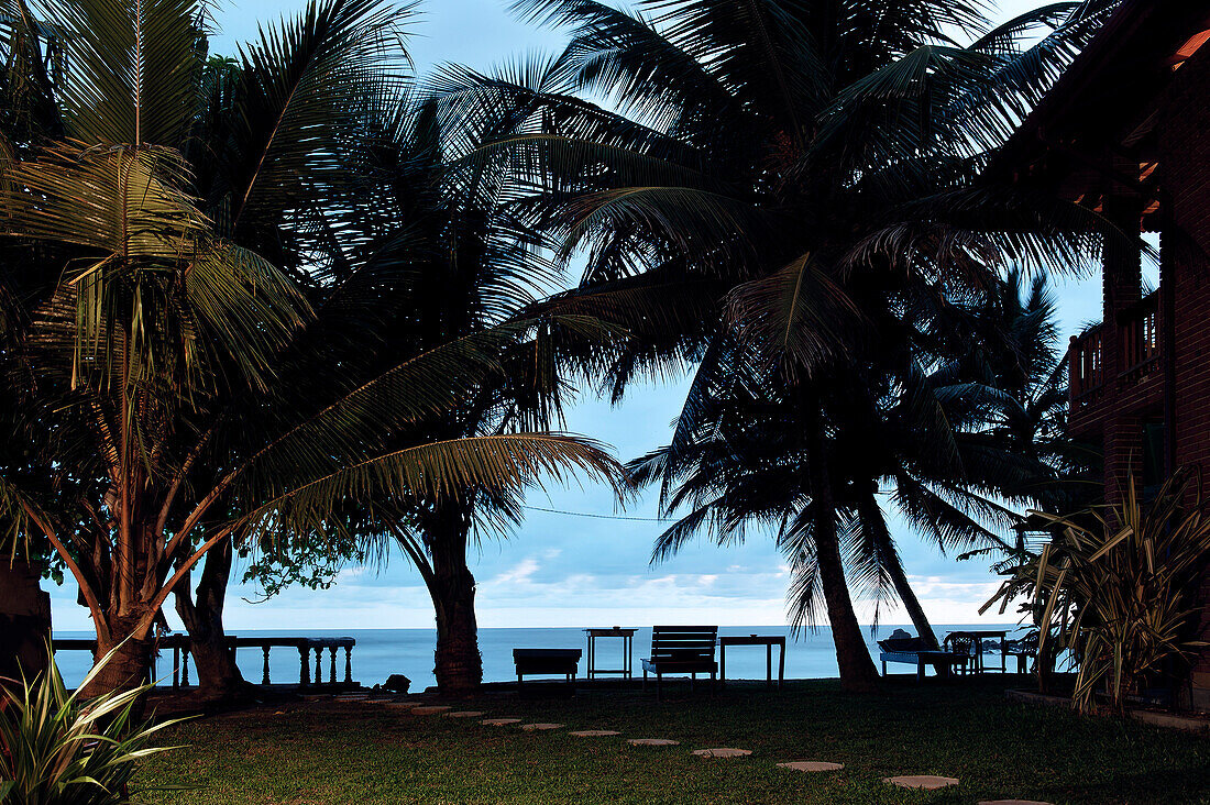 Blick auf Meer mit Palmen und Liegestühlen in Dämmerung, Mirissa Strand, Sri Lanka, Indischer Ozean