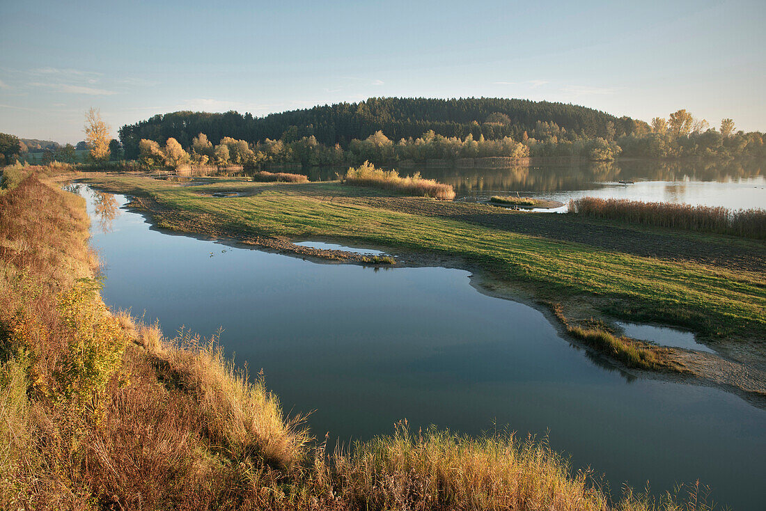 Nature reserve Plessenteich around Neu-Ulm, lake and blue sky, Schwaben, Bavaria, Germany