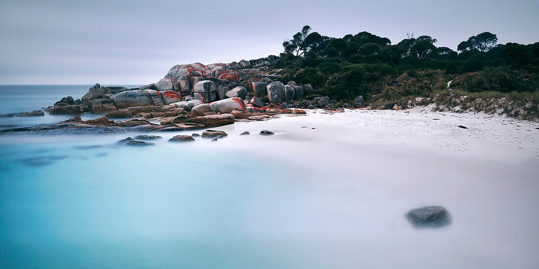 Weißer Sandstrand und kristall klares Wasser, kleine Bucht, Bay of Fires bei St. Helens, Tasmanien, Australien, Langzeitbelichtung, Pazifik
